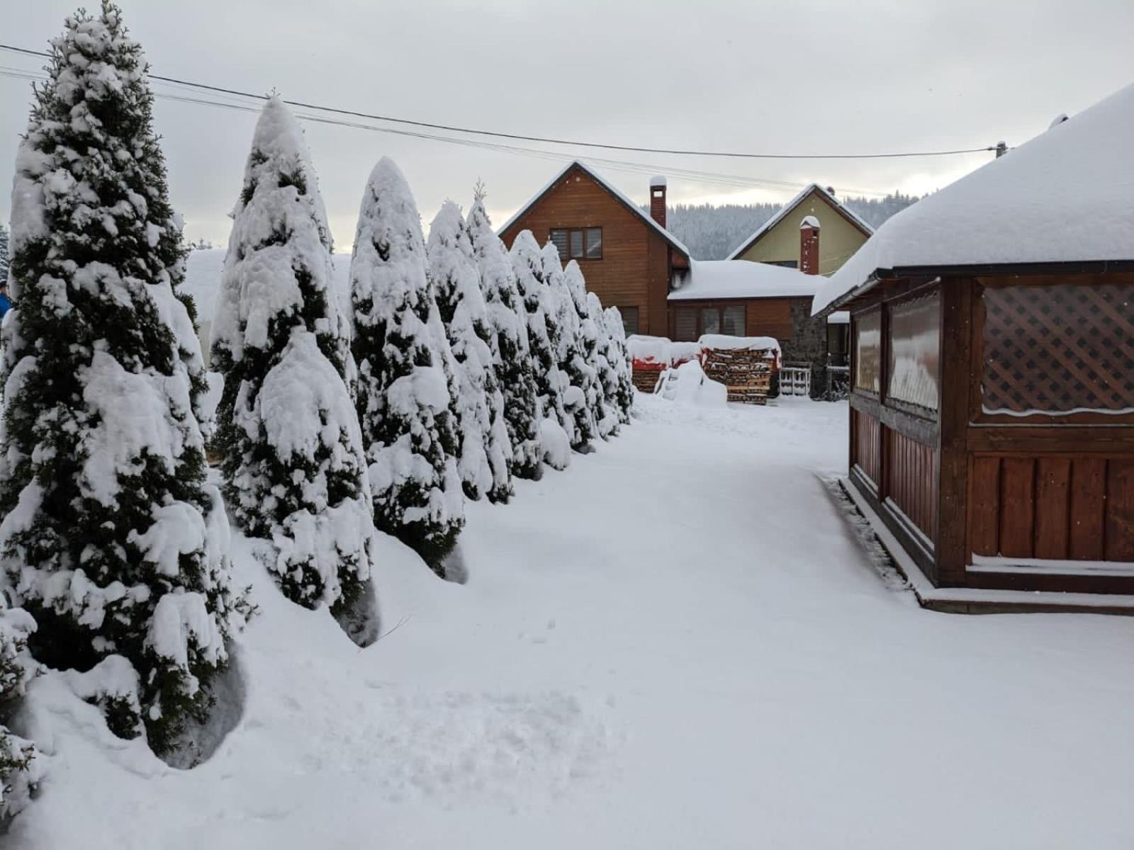 Aura Karpat Otel Bukovel Dış mekan fotoğraf