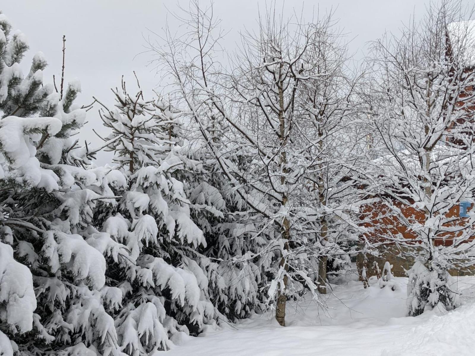 Aura Karpat Otel Bukovel Dış mekan fotoğraf