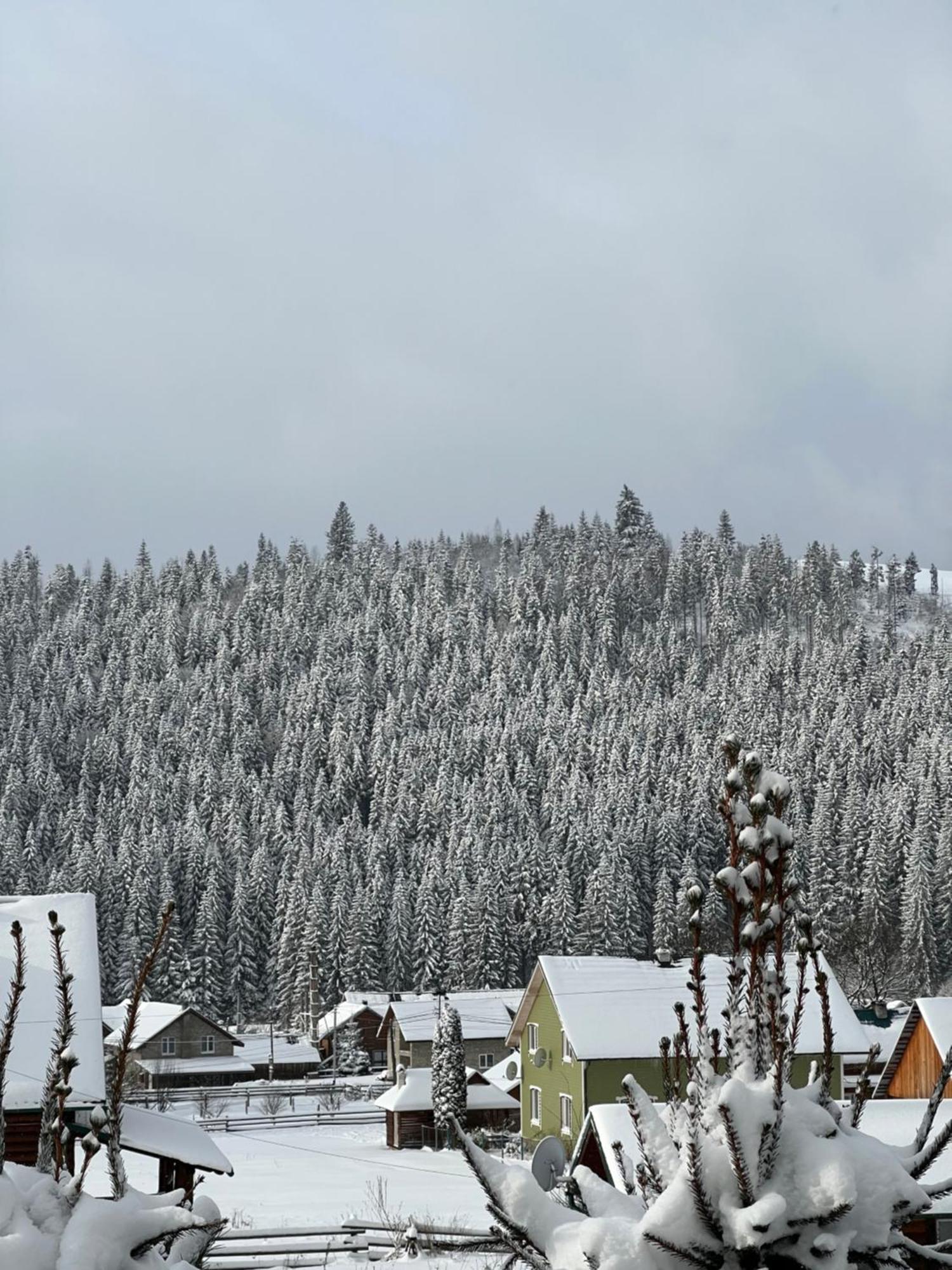 Aura Karpat Otel Bukovel Dış mekan fotoğraf