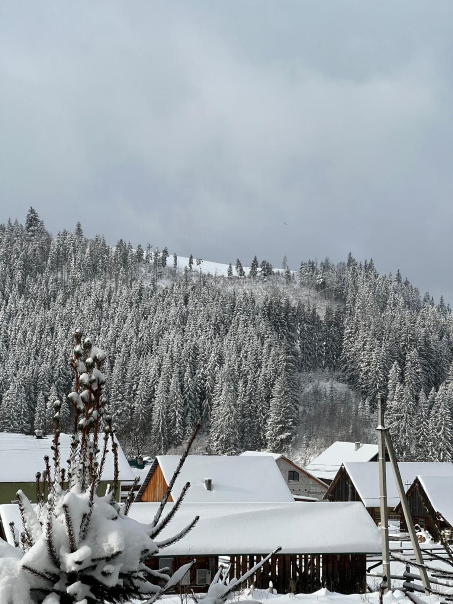 Aura Karpat Otel Bukovel Dış mekan fotoğraf